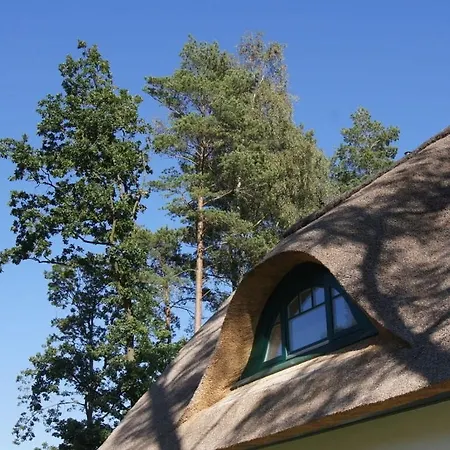 Holiday Reet Am Duenenwald 17 글로페